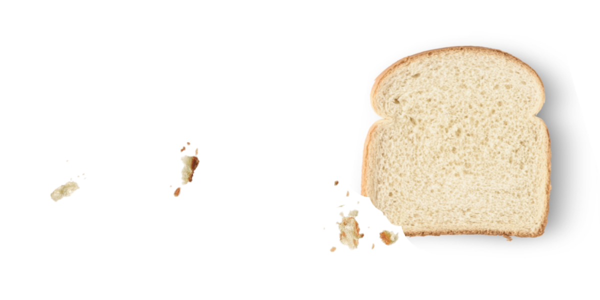 Slice of bread with crumbs